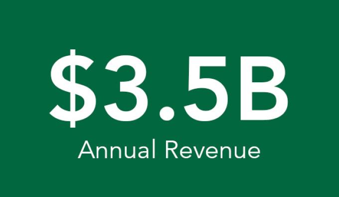 Annual Revenue   